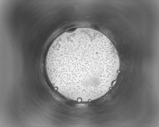 X0000074310053200609230011