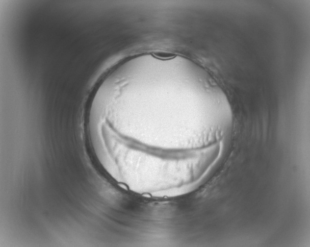 X0000074310054200609230011