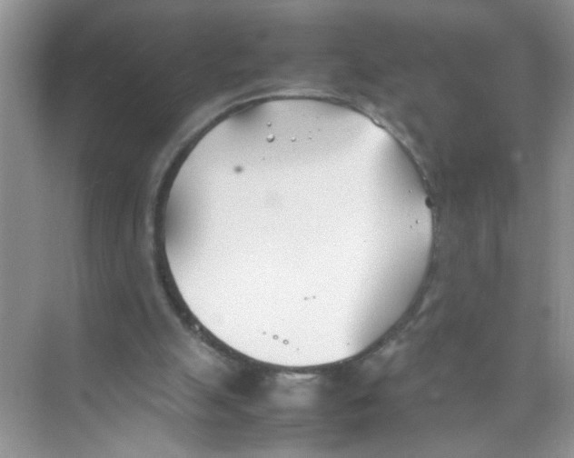 X0000074310055200609230011