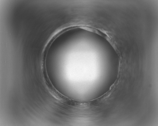 X0000074310056200609230011