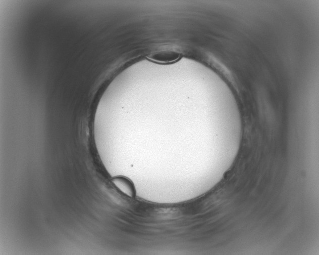 X0000074310059200609230011