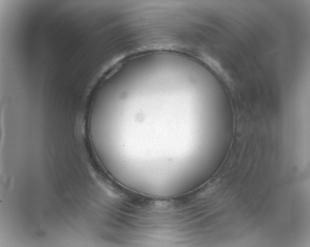 X0000074310060200609230011