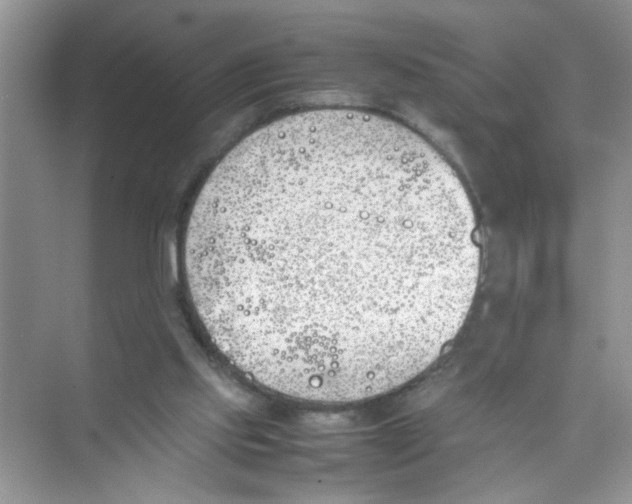 X0000074310061200609230011