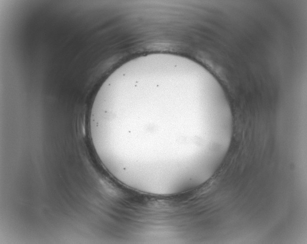 X0000074310062200609230011