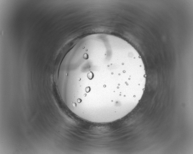 X0000074310063200609230011