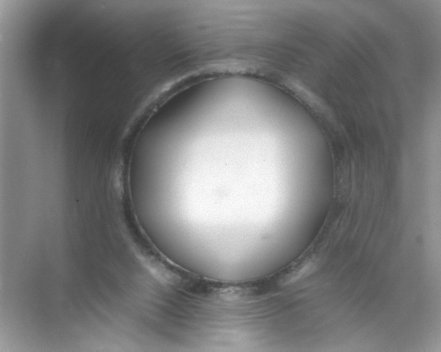 X0000074310064200609230011