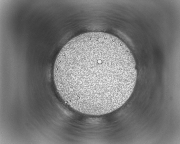 X0000074310065200609230011