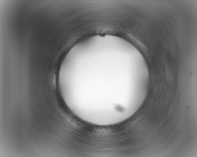 X0000074310067200609230011