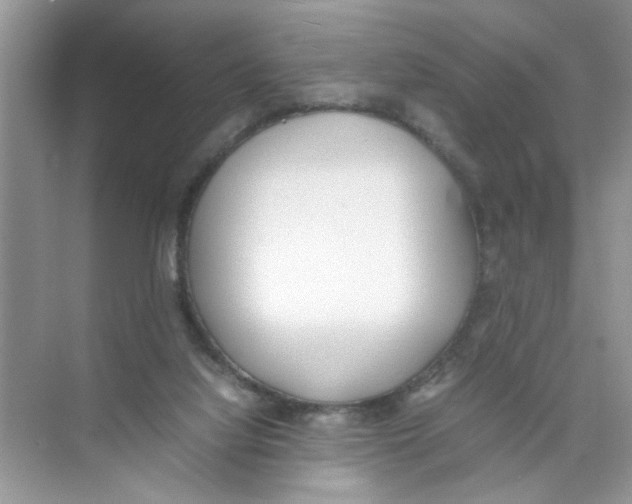 X0000074310068200609230011