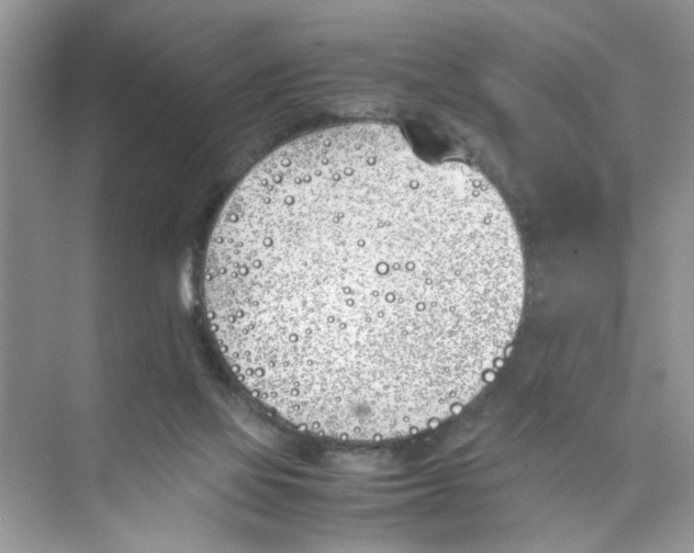 X0000074310069200609230011