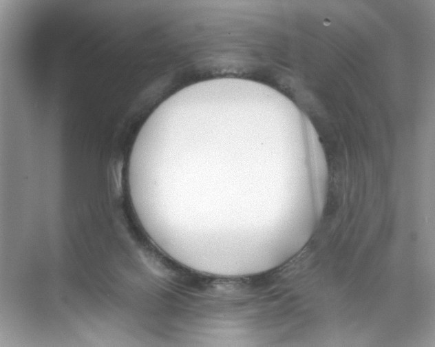 X0000074310070200609230011