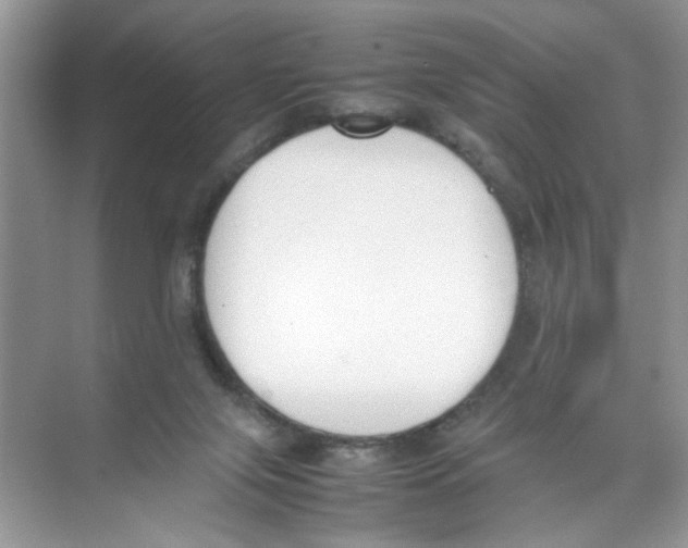 X0000074310071200609230011