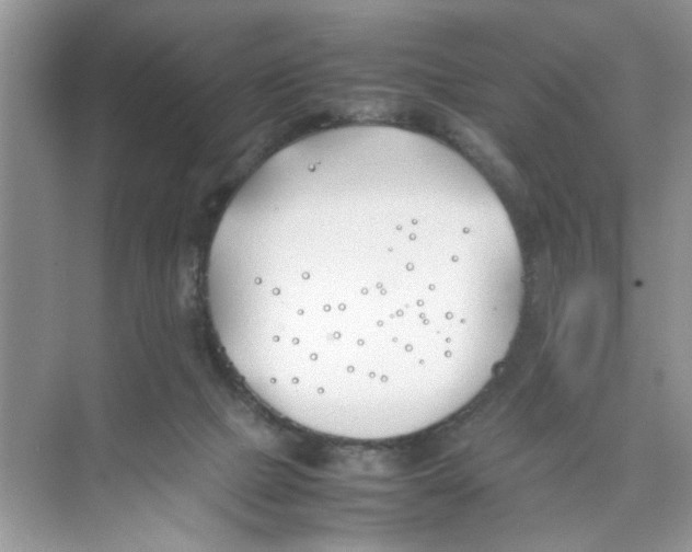 X0000074310073200609230011