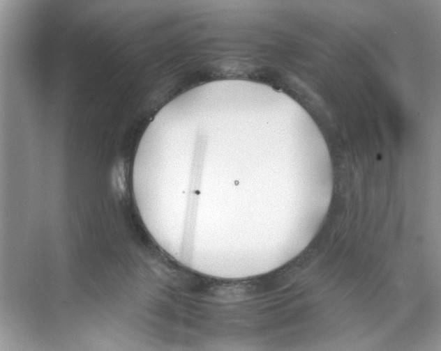 X0000074310075200609230011