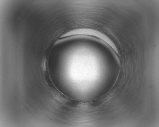 X0000074310076200609230011