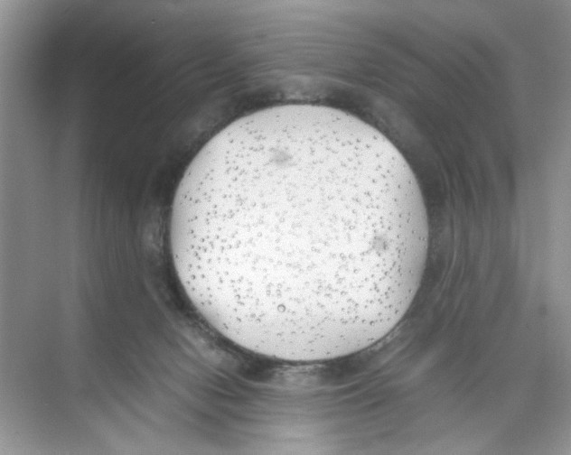 X0000074310078200609230011