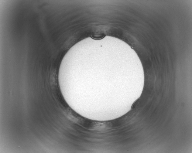 X0000074310083200609230012