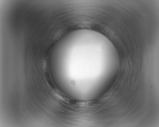 X0000074310084200609230012