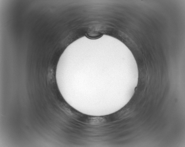 X0000074310087200609230012