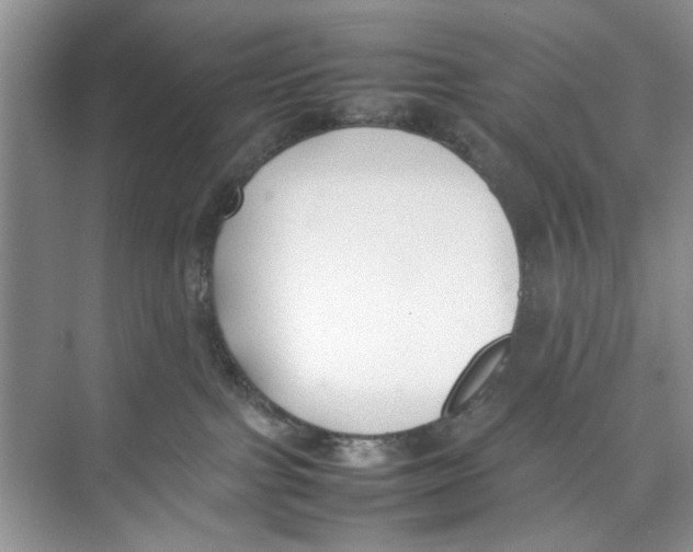 X0000074310091200609230012