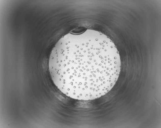 X0000074310093200609230012