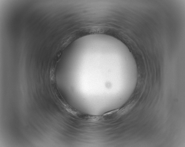 X0000074310096200609230012