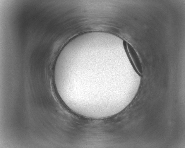 X0000074310097200609230011