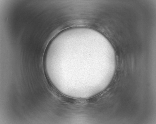 X0000074310099200609230011