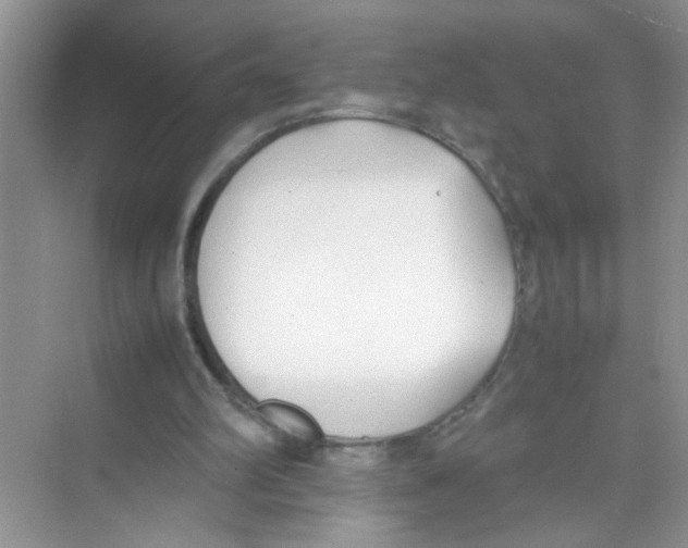 X0000074310102200609230011