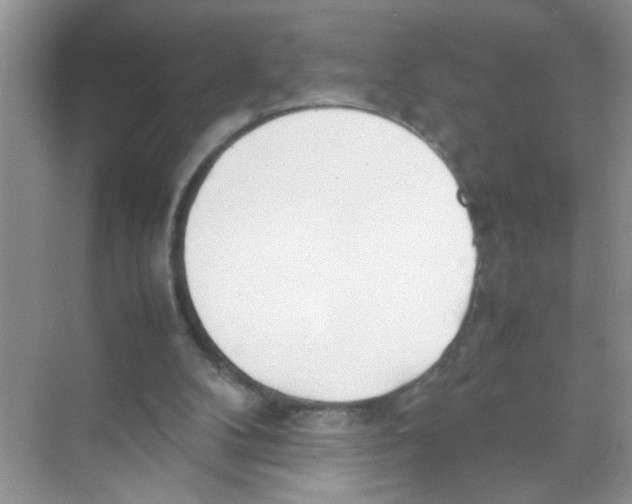 X0000074310104200609230011