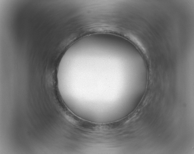 X0000074310105200609230011