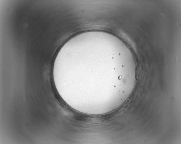 X0000074310107200609230011