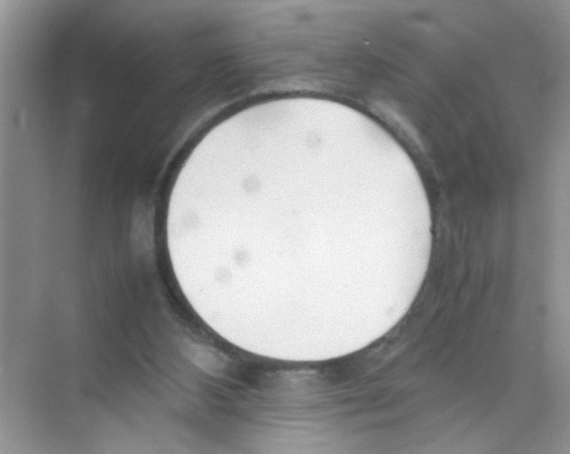 X0000074310108200609230011