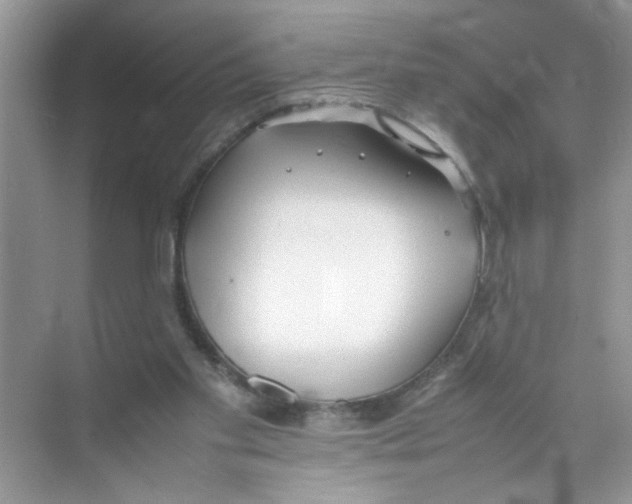 X0000074310109200609230011