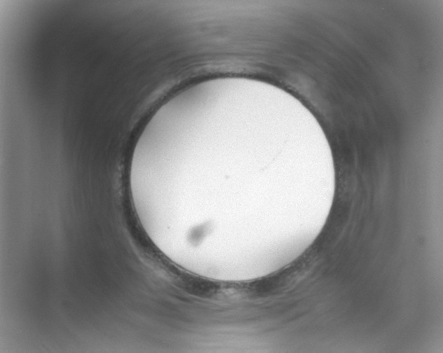 X0000074310111200609230011