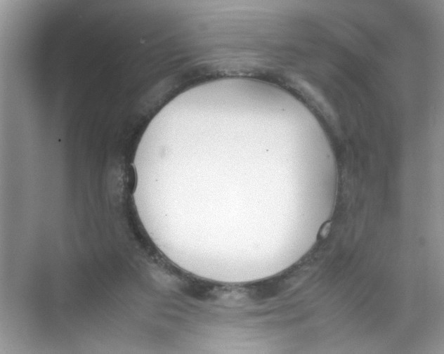 X0000074310113200609230011