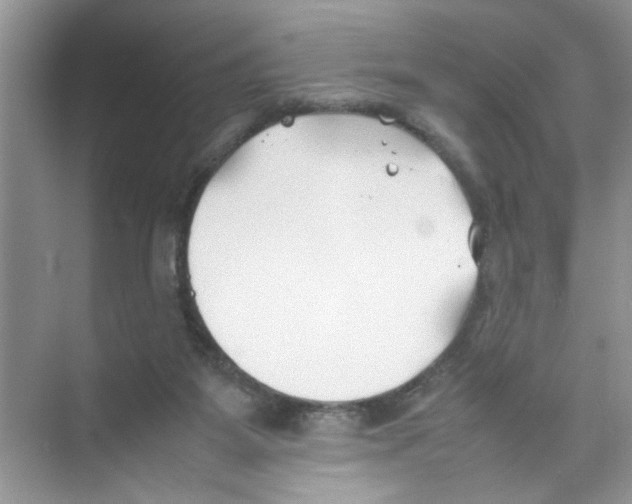 X0000074310115200609230011