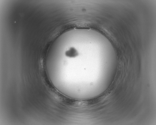 X0000074310117200609230011