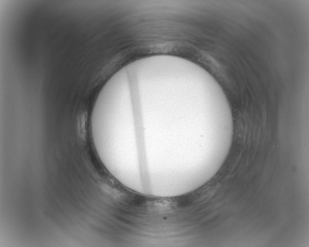 X0000074310118200609230011