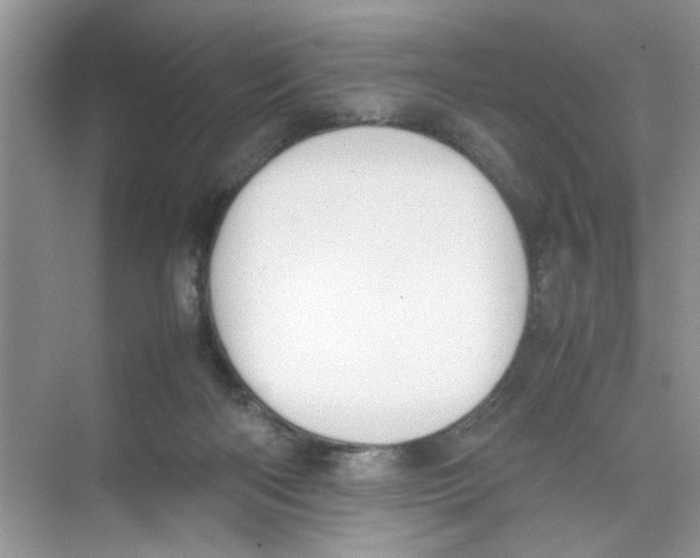 X0000074310122200609230011