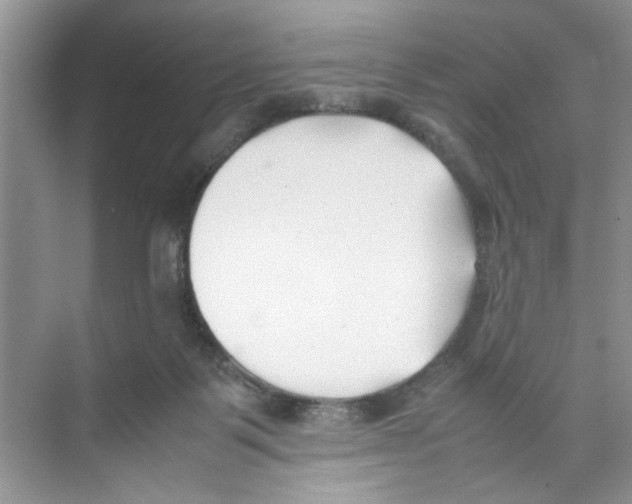 X0000074310123200609230011