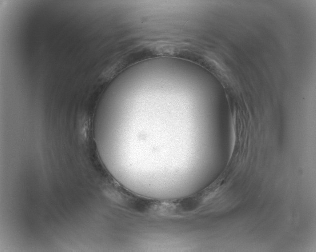 X0000074310125200609230010