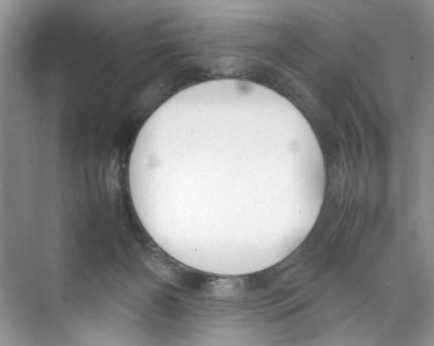 X0000074310126200609230010