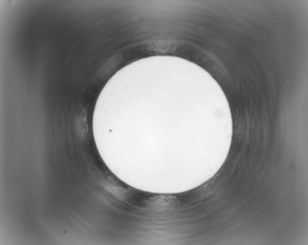 X0000074310128200609230010