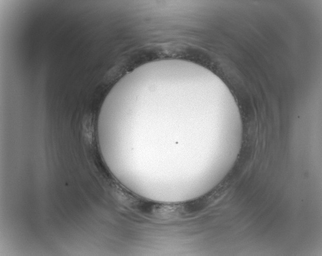 X0000074310129200609230010