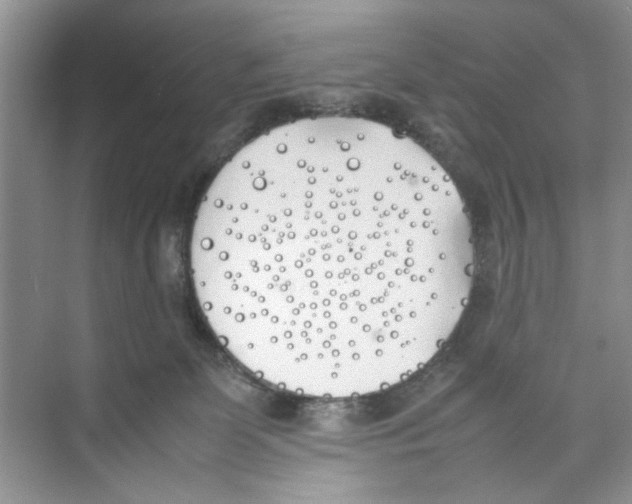 X0000074310131200609230010