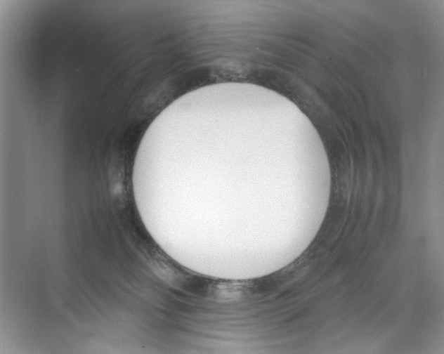 X0000074310134200609230010