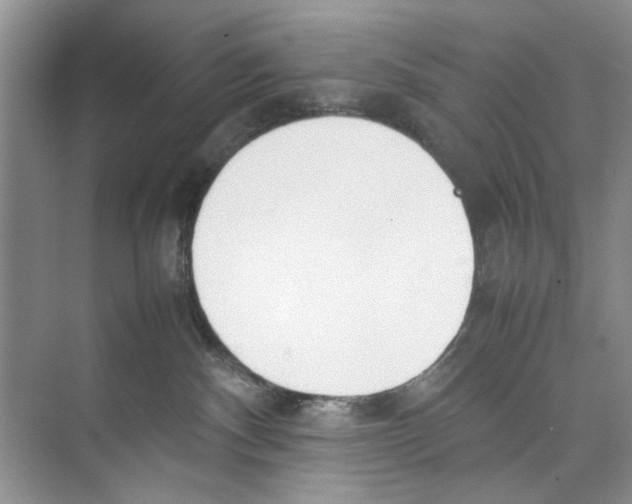 X0000074310140200609230010