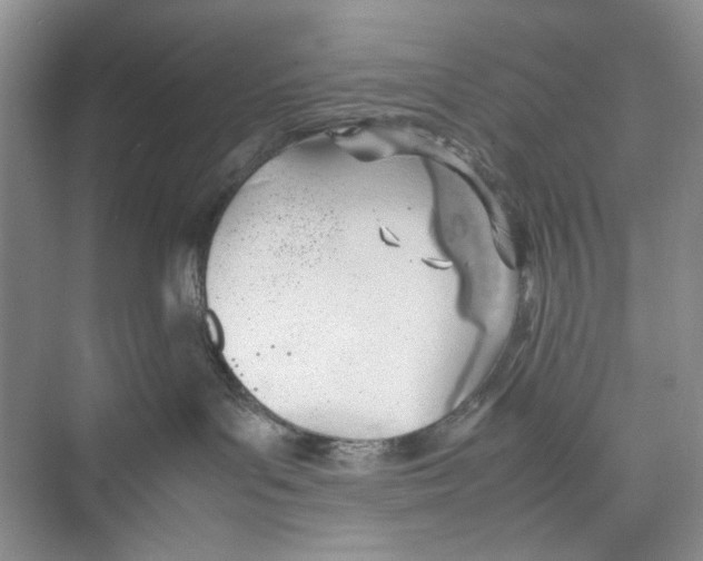 X0000074310143200609230010