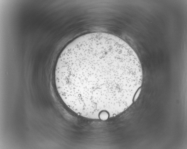 X0000074310145200609230009